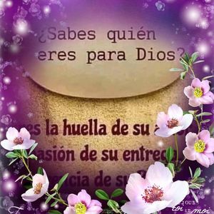 Meet your Posher, Ramonita